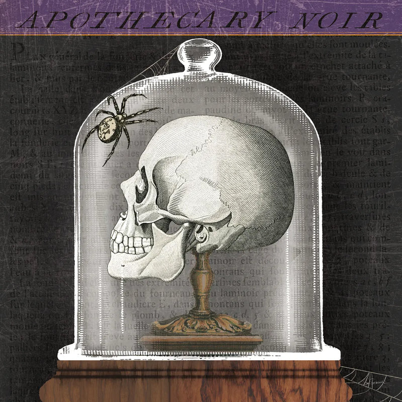 Apothecary Noir II by Sue Schlabach. SKU 74887a. Archival Giclee Fine art print for wall decor.
