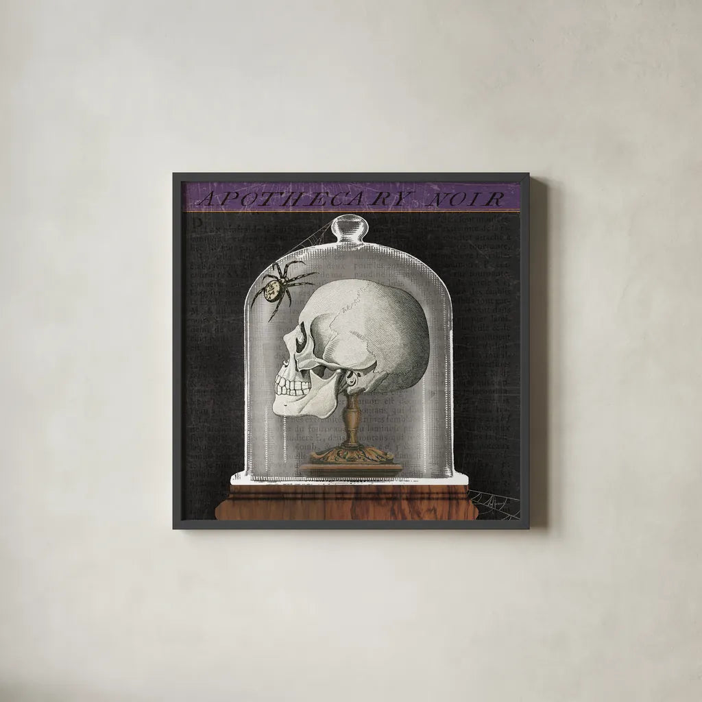 Apothecary Noir II by Sue Schlabach. Shown in a sleek black glass frame for a contemporary gallery look. Available as an archival giclee rolled canvas, fine art paper, or poster print. SKU 74887a.