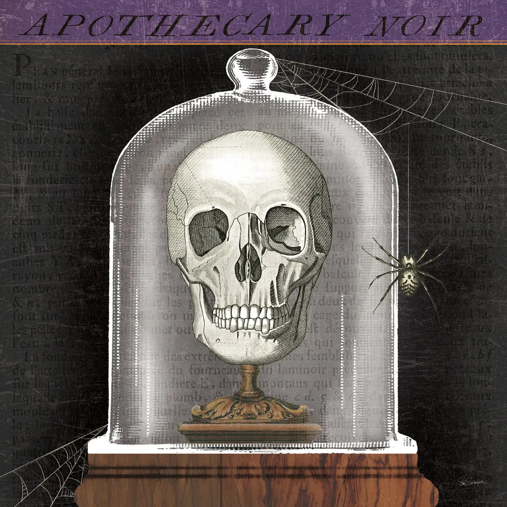 Apothecary Noir III by Sue Schlabach. SKU 74888a. Archival Giclee Fine art print for wall decor.