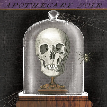 Apothecary Noir III by Sue Schlabach. SKU 74888a. Archival Giclee Fine art print for wall decor.