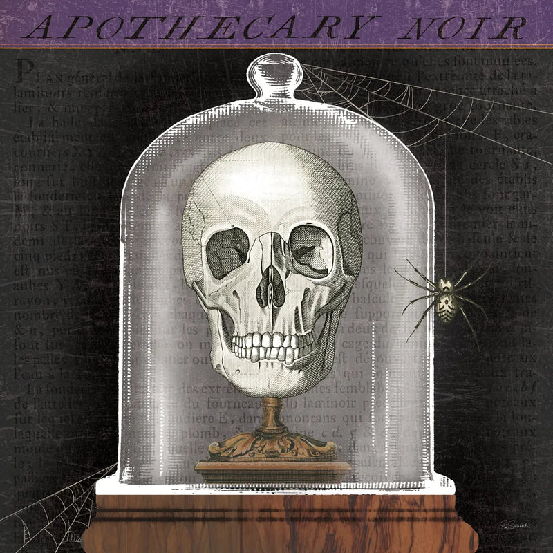 Apothecary Noir III by Sue Schlabach. SKU 74888a. Archival Giclee Fine art print for wall decor.