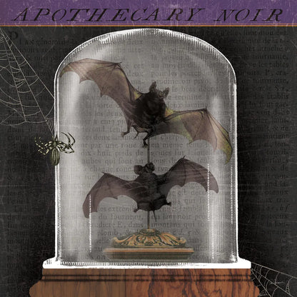 Apothecary Noir IV by Sue Schlabach. SKU 74889a. Archival Giclee Fine art print for wall decor.