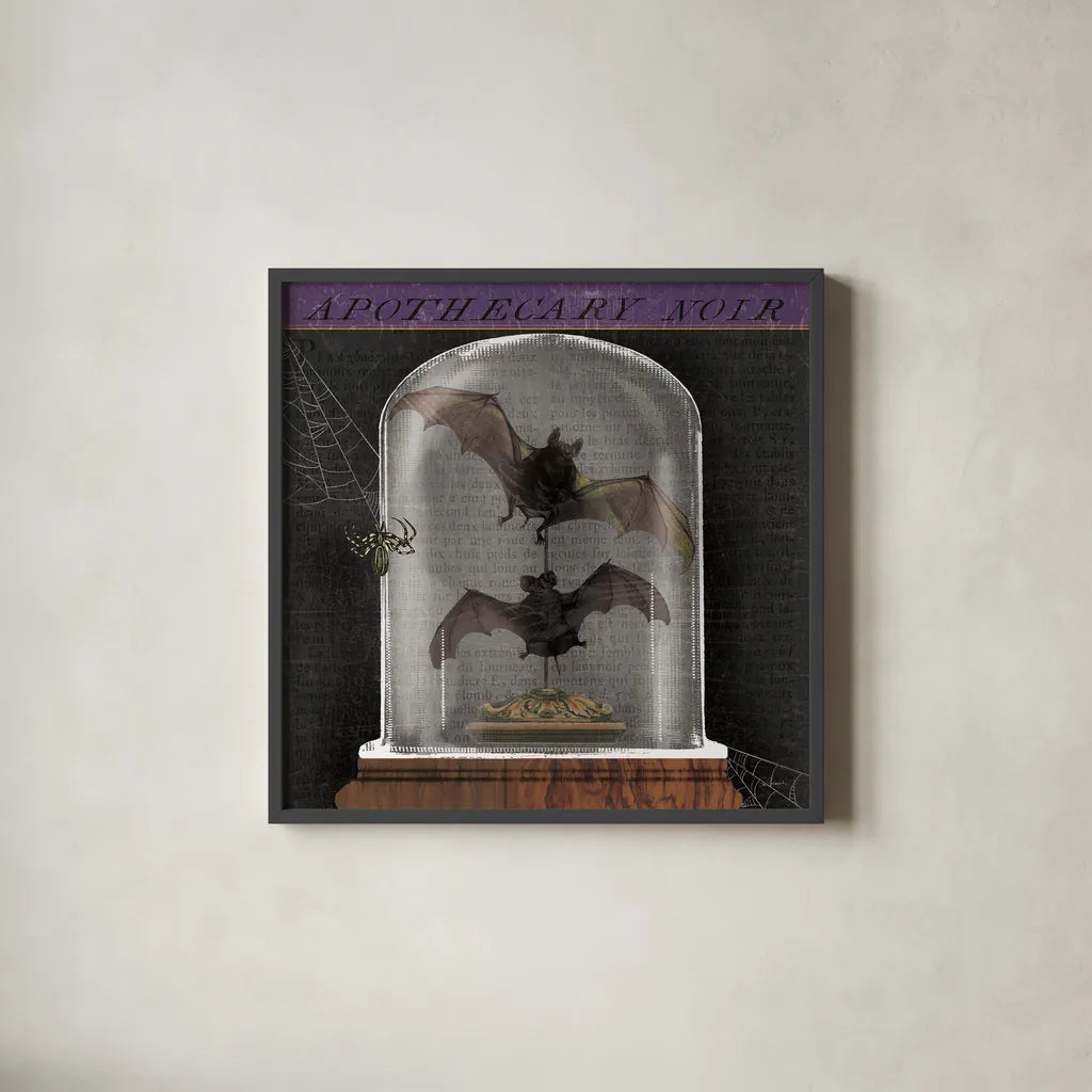 Apothecary Noir IV by Sue Schlabach. Shown in a sleek black glass frame for a contemporary gallery look. Available as an archival giclee rolled canvas, fine art paper, or poster print. SKU 74889a.