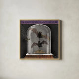 Apothecary Noir IV by Sue Schlabach. Shown in a natural wood glass frame for a timeless modern aesthetic. Available as an archival giclee rolled canvas, fine art paper, or poster print. SKU 74889a.