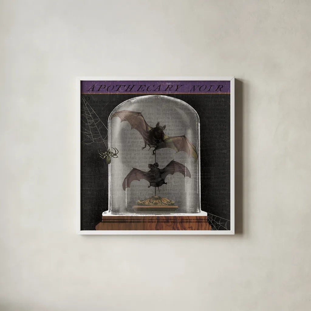 Apothecary Noir IV by Sue Schlabach. Shown in a crisp white glass frame for a clean and minimalist style. Available as an archival giclee rolled canvas, fine art paper, or poster print. SKU 74889a.