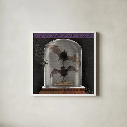 Apothecary Noir IV by Sue Schlabach. Shown in a crisp white glass frame for a clean and minimalist style. Available as an archival giclee rolled canvas, fine art paper, or poster print. SKU 74889a.