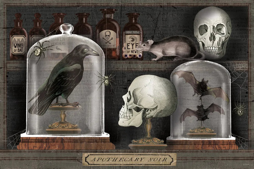 Apothecary Noir V by Sue Schlabach. SKU 74890i. Archival Giclee Fine art print for wall decor.