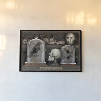 Apothecary Noir V by Sue Schlabach. shown as a paper print in a black flame. Available as a archival giclee rolled canvas, fine art paper, or poster print. SKU 74890i.