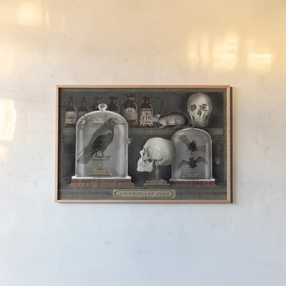 Apothecary Noir V by Sue Schlabach. shown as a paper print in a natural frame. Available as a archival giclee rolled canvas, fine art paper, or poster print. SKU 74890i.