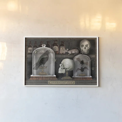 Apothecary Noir V by Sue Schlabach. shown as a paper print in a white frame. Available as a archival giclee rolled canvas, fine art paper, or poster print. SKU 74890i.