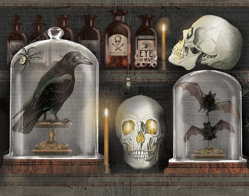 Apothecary Noir V Candles by Sue Schlabach