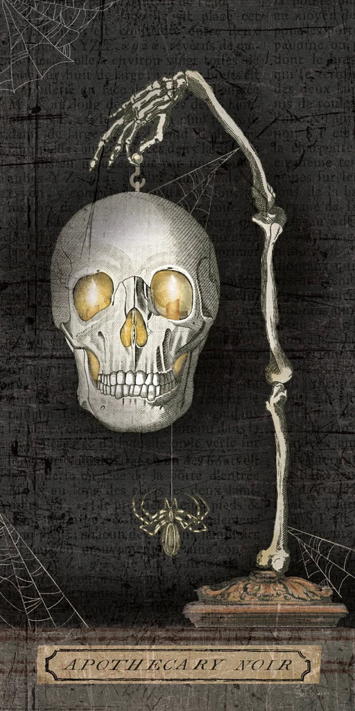 Apothecary Noir VII by Sue Schlabach