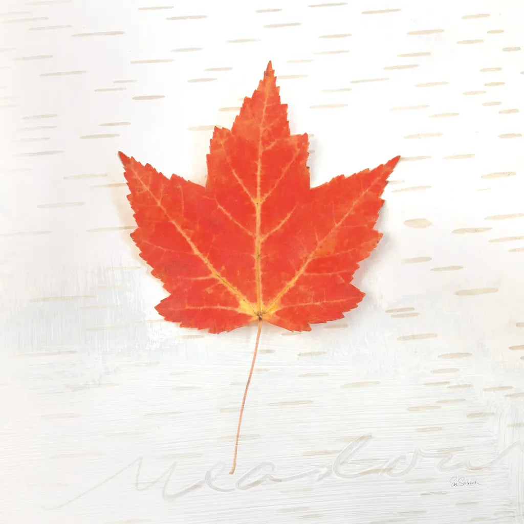 Autumn Colors I by Sue Schlabach. SKU 29345a. Archival Giclee Fine art print for wall decor.