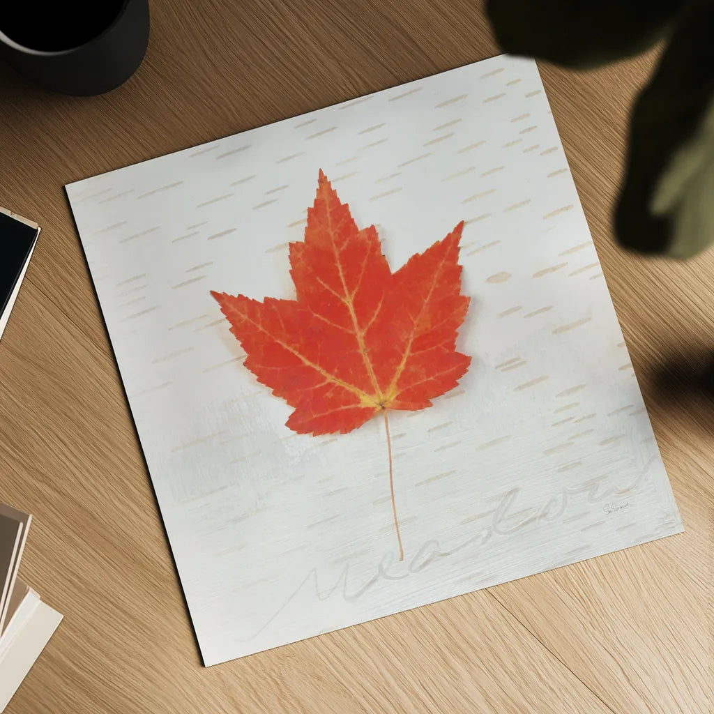 Autumn Colors I by Sue Schlabach. Shown as a detailed flat fine art print, highlighting archival giclee quality. Available as an archival giclee rolled canvas, fine art paper, or poster print. SKU 29345a.