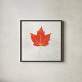Autumn Colors I by Sue Schlabach. Shown in a sleek black glass frame for a contemporary gallery look. Available as an archival giclee rolled canvas, fine art paper, or poster print. SKU 29345a.