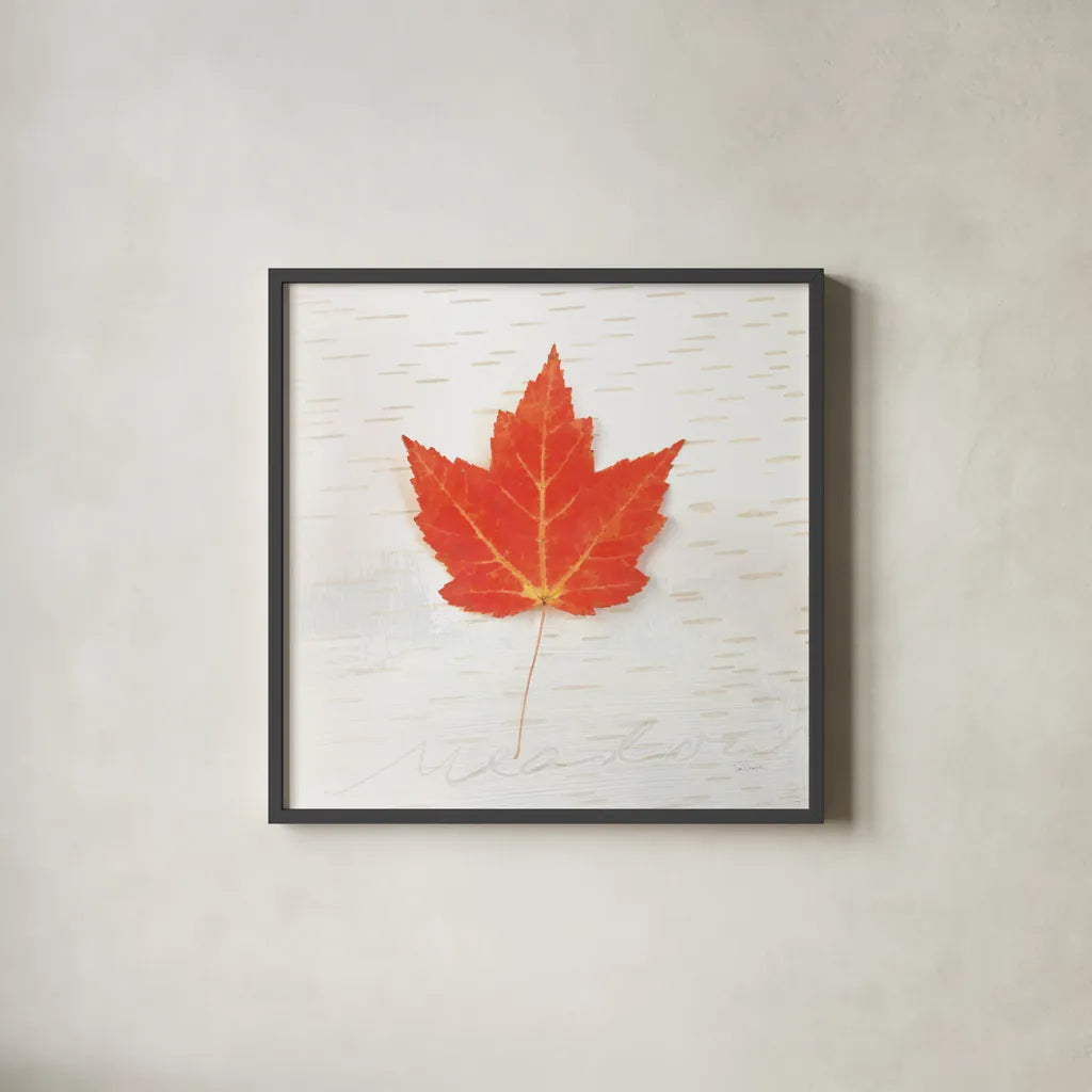 Autumn Colors I by Sue Schlabach. Shown in a sleek black glass frame for a contemporary gallery look. Available as an archival giclee rolled canvas, fine art paper, or poster print. SKU 29345a.