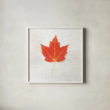 Autumn Colors I by Sue Schlabach. Shown in a crisp white glass frame for a clean and minimalist style. Available as an archival giclee rolled canvas, fine art paper, or poster print. SKU 29345a.