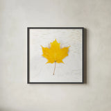 Autumn Colors II by Sue Schlabach. Shown in a sleek black glass frame for a contemporary gallery look. Available as an archival giclee rolled canvas, fine art paper, or poster print. SKU 29346a.