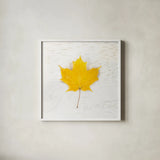 Autumn Colors II by Sue Schlabach. Shown in a crisp white glass frame for a clean and minimalist style. Available as an archival giclee rolled canvas, fine art paper, or poster print. SKU 29346a.