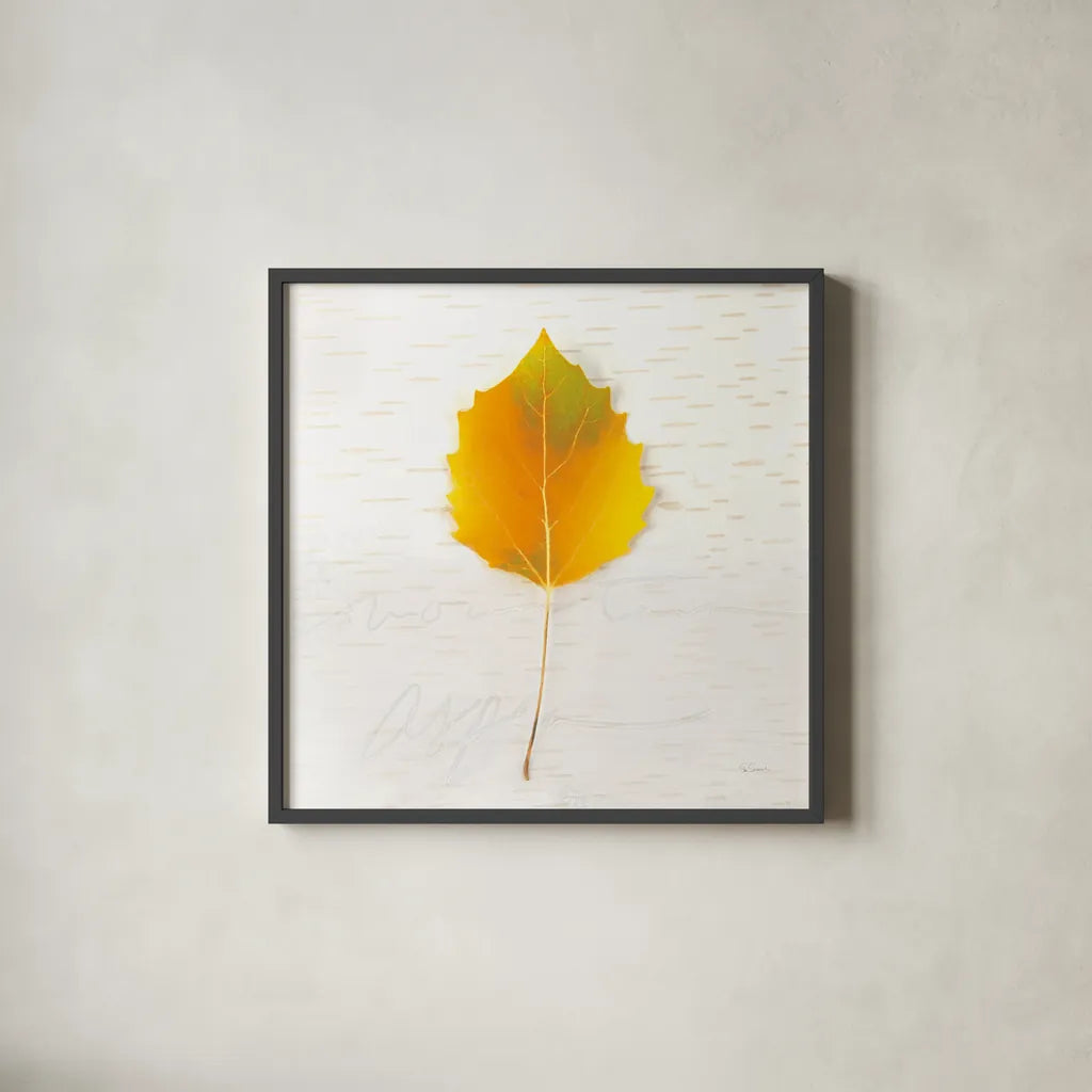 Autumn Colors III by Sue Schlabach. Shown in a sleek black glass frame for a contemporary gallery look. Available as an archival giclee rolled canvas, fine art paper, or poster print. SKU 29347a.