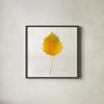 Autumn Colors III by Sue Schlabach. Shown in a sleek black glass frame for a contemporary gallery look. Available as an archival giclee rolled canvas, fine art paper, or poster print. SKU 29347a.