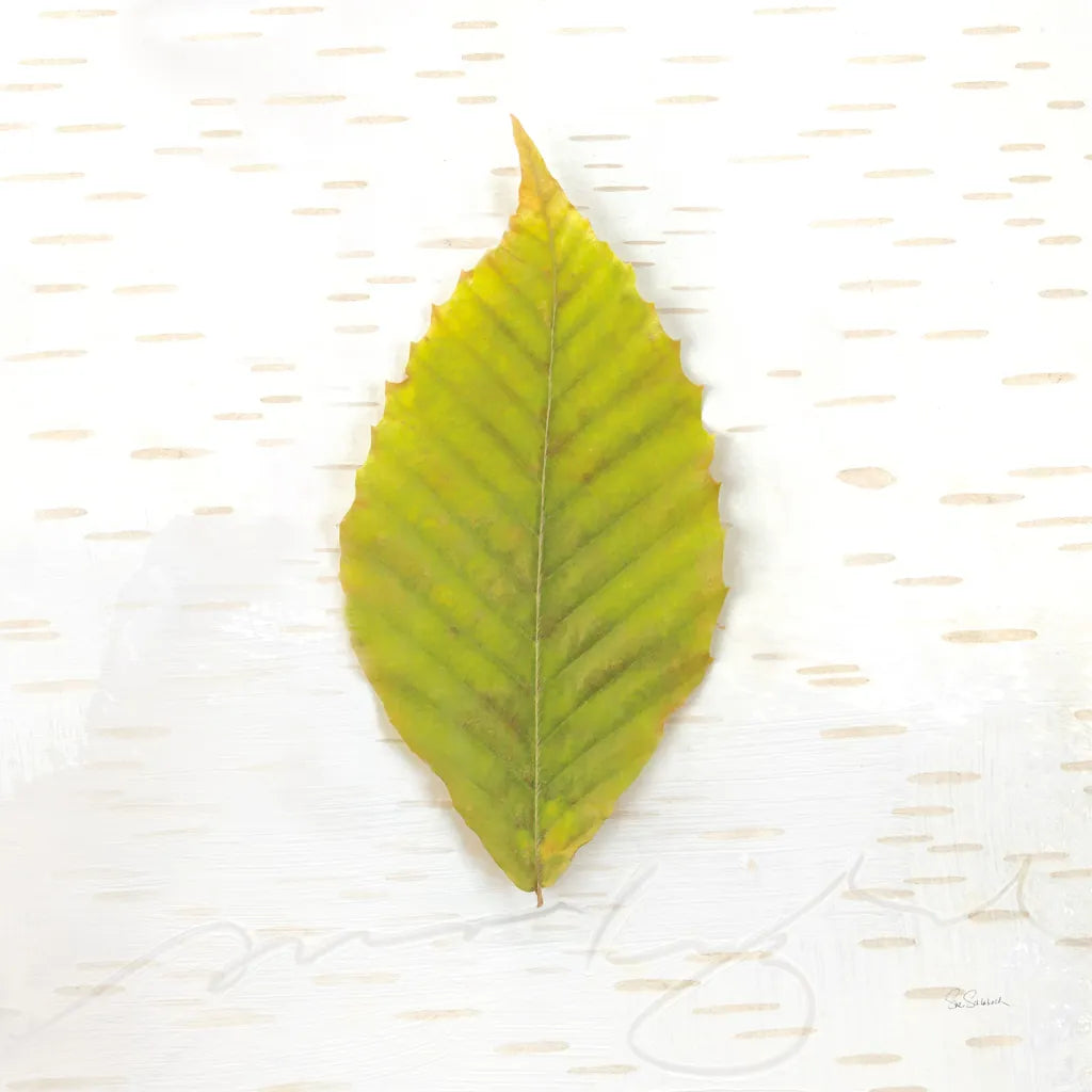 Autumn Colors IV by Sue Schlabach. SKU 29348a. Archival Giclee Fine art print for wall decor.