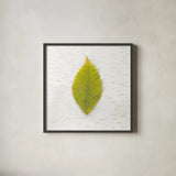 Autumn Colors IV by Sue Schlabach. Shown in a sleek black glass frame for a contemporary gallery look. Available as an archival giclee rolled canvas, fine art paper, or poster print. SKU 29348a.