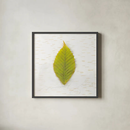 Autumn Colors IV by Sue Schlabach. Shown in a sleek black glass frame for a contemporary gallery look. Available as an archival giclee rolled canvas, fine art paper, or poster print. SKU 29348a.
