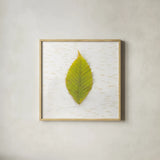 Autumn Colors IV by Sue Schlabach. Shown in a natural wood glass frame for a timeless modern aesthetic. Available as an archival giclee rolled canvas, fine art paper, or poster print. SKU 29348a.