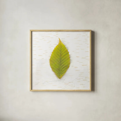 Autumn Colors IV by Sue Schlabach. Shown in a natural wood glass frame for a timeless modern aesthetic. Available as an archival giclee rolled canvas, fine art paper, or poster print. SKU 29348a.