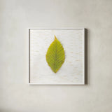 Autumn Colors IV by Sue Schlabach. Shown in a crisp white glass frame for a clean and minimalist style. Available as an archival giclee rolled canvas, fine art paper, or poster print. SKU 29348a.