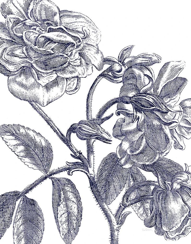 Belle Fleur I Light Crop by Sue Schlabach