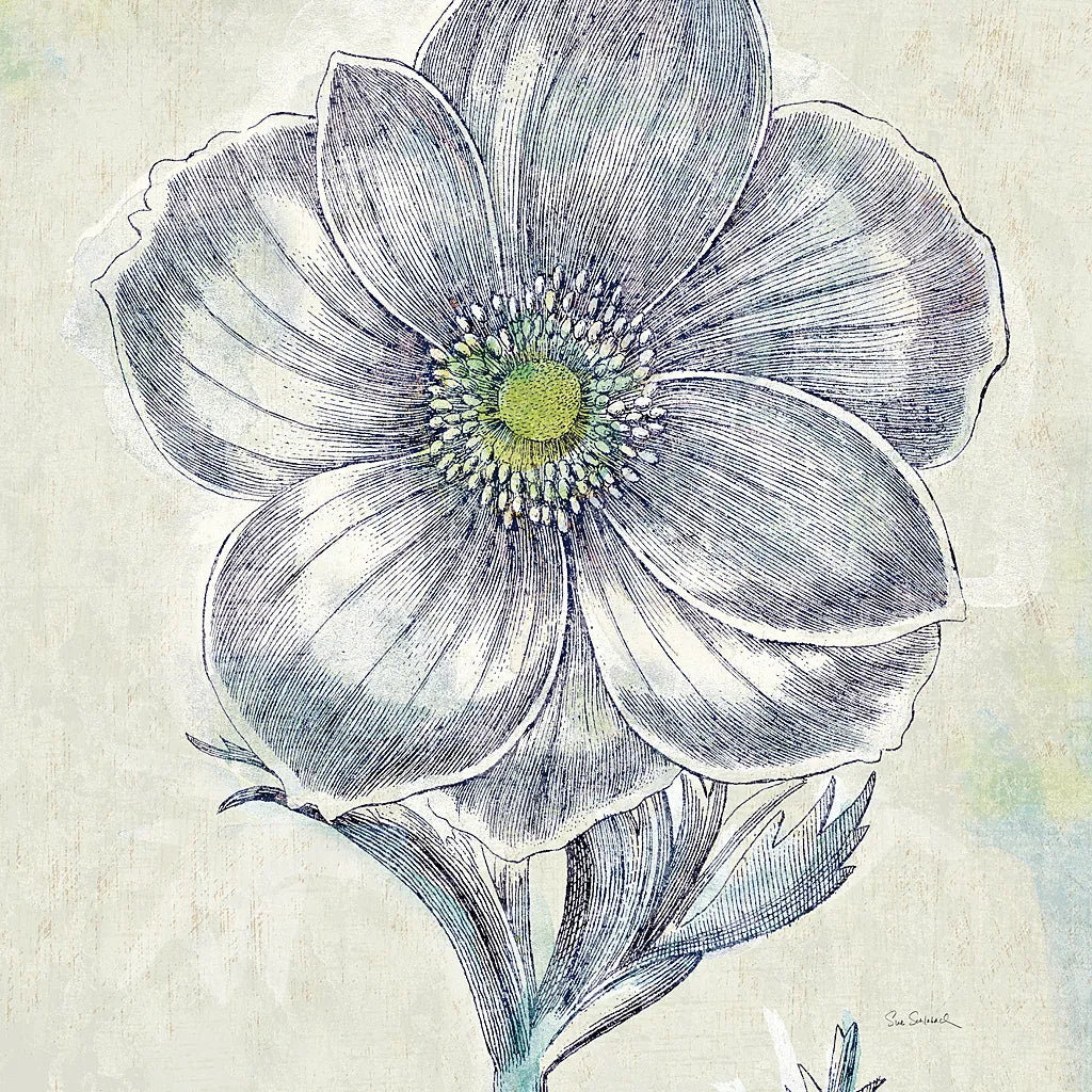 Belle Fleur II by Sue Schlabach. SKU 20084a. Archival Giclee Fine art print for wall decor.