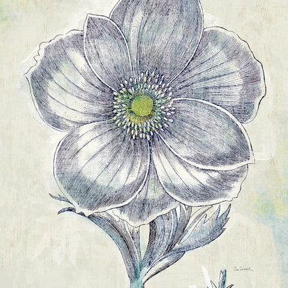 Belle Fleur II by Sue Schlabach. SKU 20084a. Archival Giclee Fine art print for wall decor.