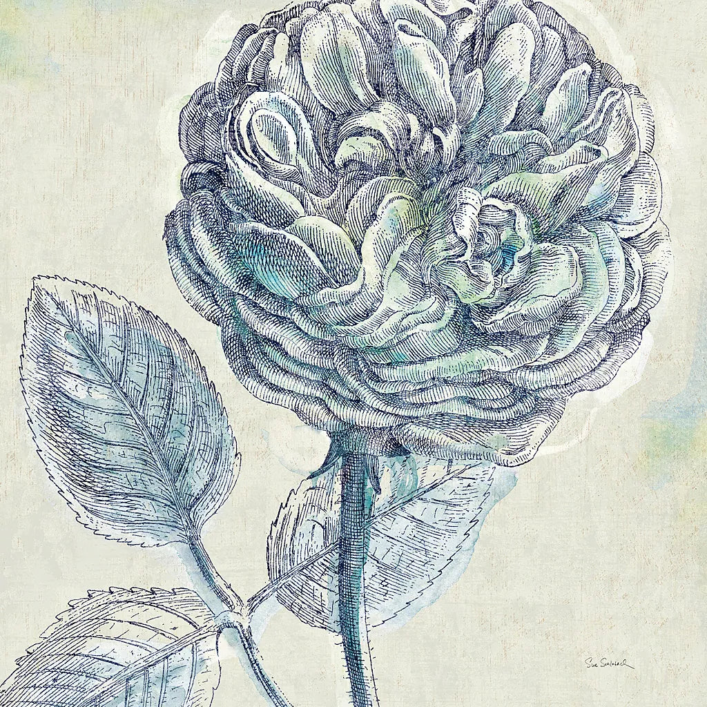 Belle Fleur III by Sue Schlabach. SKU 20085a. Archival Giclee Fine art print for wall decor.