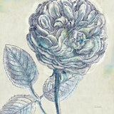 Belle Fleur III by Sue Schlabach. SKU 20085a. Archival Giclee Fine art print for wall decor.