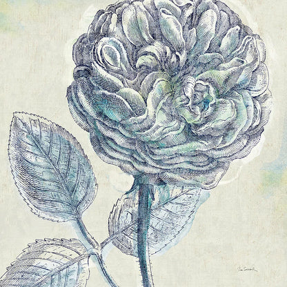 Belle Fleur III by Sue Schlabach. SKU 20085a. Archival Giclee Fine art print for wall decor.