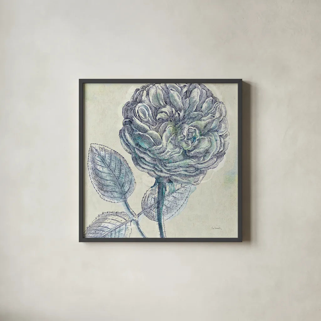 Belle Fleur III by Sue Schlabach. Shown in a sleek black glass frame for a contemporary gallery look. Available as an archival giclee rolled canvas, fine art paper, or poster print. SKU 20085a.