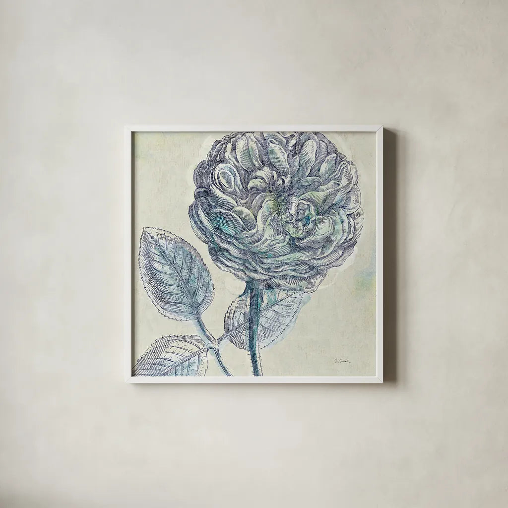 Belle Fleur III by Sue Schlabach. Shown in a crisp white glass frame for a clean and minimalist style. Available as an archival giclee rolled canvas, fine art paper, or poster print. SKU 20085a.