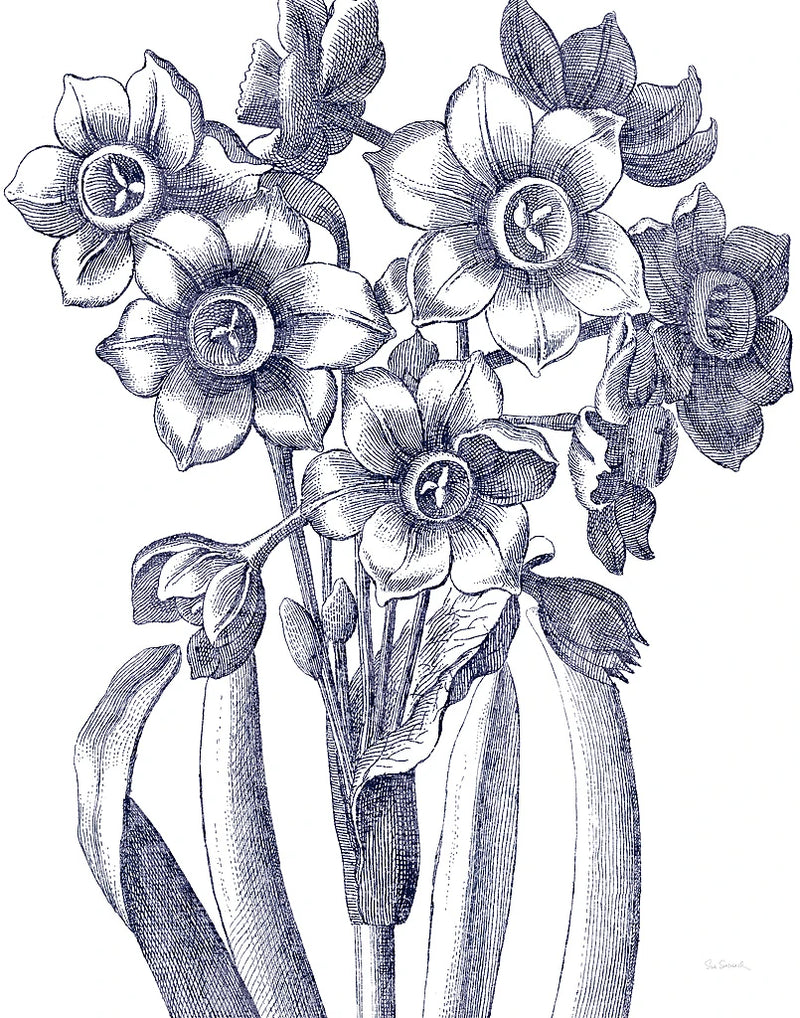 Belle Fleur IV Light Crop by Sue Schlabach