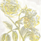 Belle Fleur Yellow I by Sue Schlabach. SKU 18646a. Archival Giclee Fine art print for wall decor.