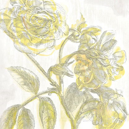 Belle Fleur Yellow I by Sue Schlabach. SKU 18646a. Archival Giclee Fine art print for wall decor.