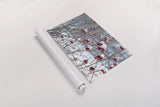 Berries in Winter by Sue Schlabach. shown as a rolled paper print. Available as archival giclee rolled canvas, fine art paper, or poster print. SKU 60941i.