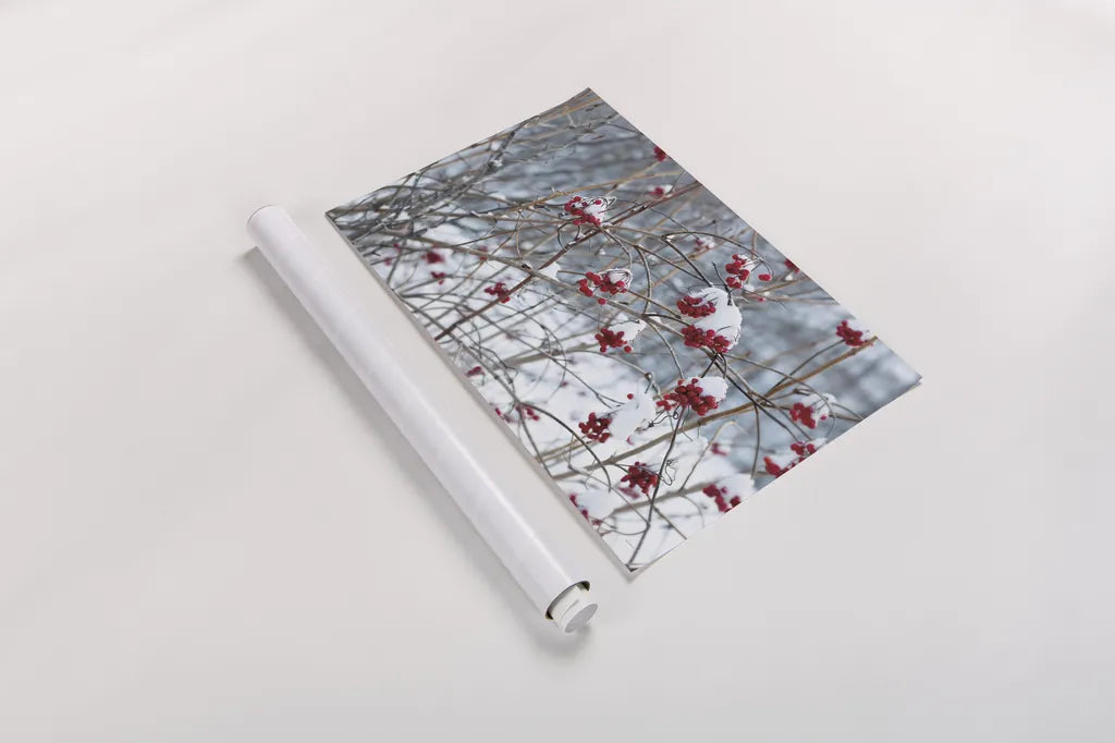 Berries in Winter by Sue Schlabach. shown as a rolled paper print. Available as archival giclee rolled canvas, fine art paper, or poster print. SKU 60941i.