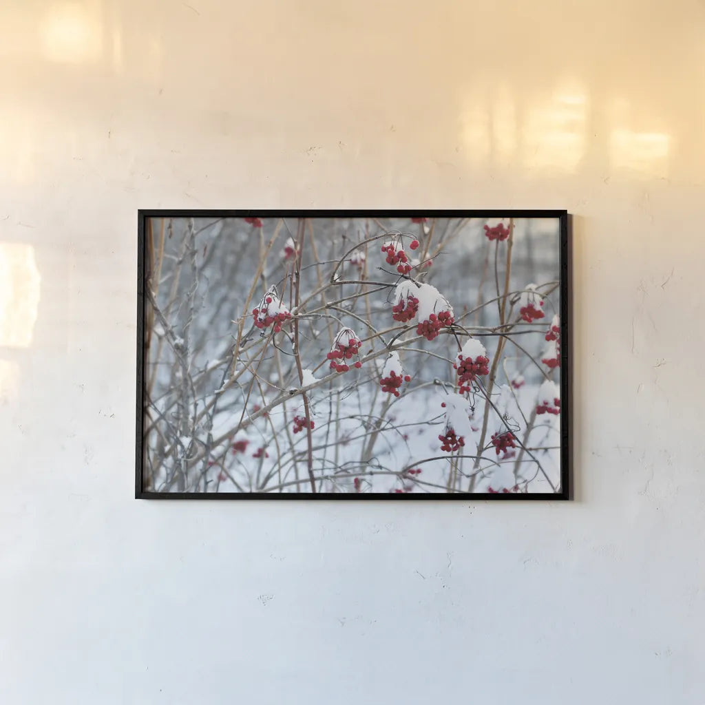 Berries in Winter by Sue Schlabach. shown as a paper print in a black flame. Available as a archival giclee rolled canvas, fine art paper, or poster print. SKU 60941i.