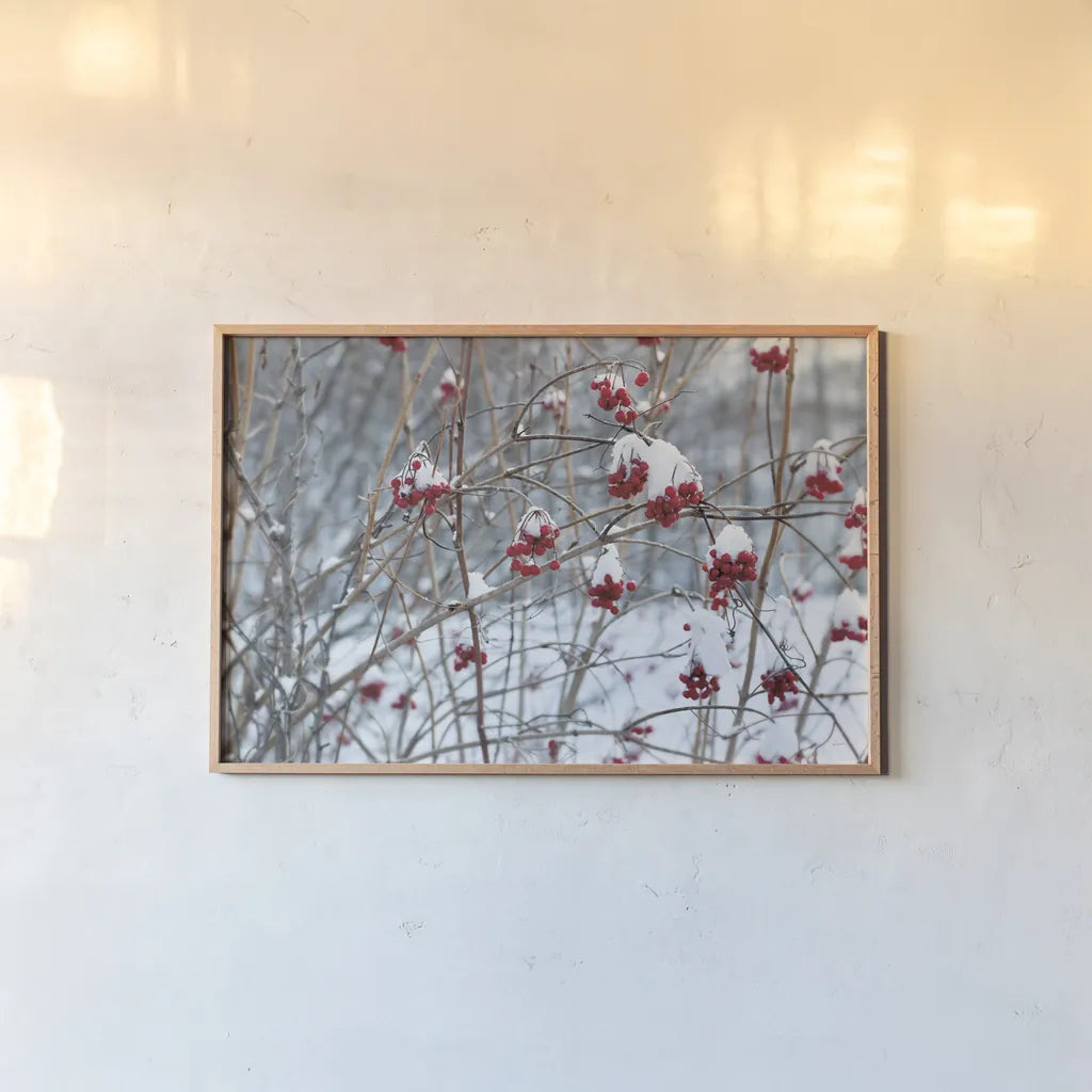 Berries in Winter by Sue Schlabach. shown as a paper print in a natural frame. Available as a archival giclee rolled canvas, fine art paper, or poster print. SKU 60941i.