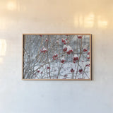 Berries in Winter by Sue Schlabach. shown as a paper print in a natural frame. Available as a archival giclee rolled canvas, fine art paper, or poster print. SKU 60941i.