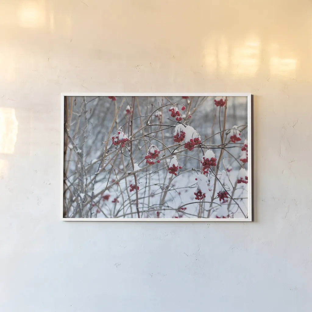 Berries in Winter by Sue Schlabach. shown as a paper print in a white frame. Available as a archival giclee rolled canvas, fine art paper, or poster print. SKU 60941i.
