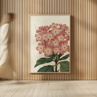 Bicolor Phlox Botany No Words by Sue Schlabach. shown as over sized large wall art. Available as an archival giclee rolled canvas, fine art paper, or poster print. SKU 44803h.