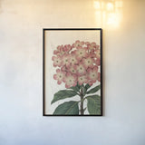 Bicolor Phlox Botany No Words by Sue Schlabach. shown as a paper print in a black flame. Available as a archival giclee rolled canvas, fine art paper, or poster print. SKU 44803h.